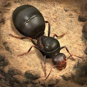 The Ants Underground Kingdom - استراتيجية الادمان ومثيرة للاهتمام بصريا