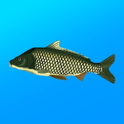 True Fishing Fishing simulator [unlocked/Mod Money] - محاكاة الصيد مع جو مريح