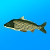 تحميل True Fishing Fishing simulator [unlocked/Mod Money]