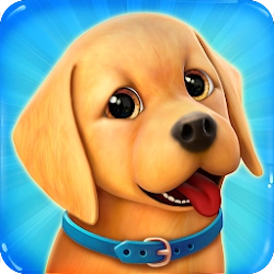 Dog Town Pet Shop Game Care & Play with Dog - Arrangement of a nursery for adorable puppies