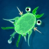 Download World of Microbes Spore Evol [unlocked/Mod Money]