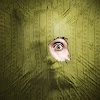 Download Backrooms Descent: Horror Game [Money mod]