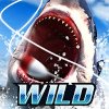 Herunterladen Wild Fishing Simulator [Mod Money]
