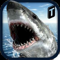 Crazy Shark 3D Sim [Mod Money] - Очередной симулятор кровожадной акулы