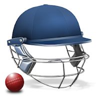 Cricket Captain 2015 - Полноценный менеджер крикета