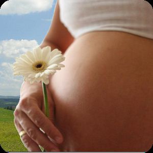 Календарь беременности - Справочник беременности для Android
