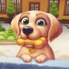 Download Pet Clinic Happy story