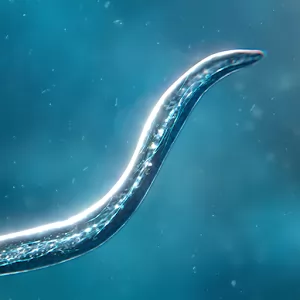Bionix - Споры и Бактерии Эволюция Симулятор 3D [Бесплатные покупки] - Выведение новых существ в интереснейшем симуляторе