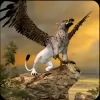 Download Clan of Griffin [Mod Money/Adfree]