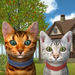 Симулятор Кота и Кошки [Много денег/без рекламы] - Очаровательный аркадный симулятор с котятами