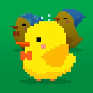 Find Bird - Забавная аркада с танцующими птичками