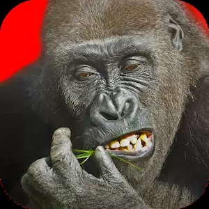 Летающая горилла - Забавный и качественный раннер с горилой