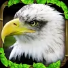 Download Eagle Simulator™