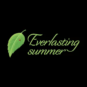 Everlasting Summer - Quest game with an intriguing storyline