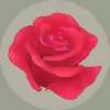 Download Rosas Garden