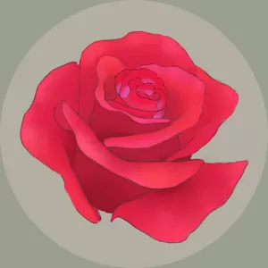 Rosas Garden - Great gardener