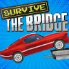 Download Survive The Bridge