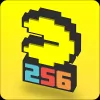 Download PAC-MAN 256 - Endless Maze [много монет]