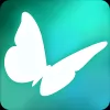 Download Flutter VR