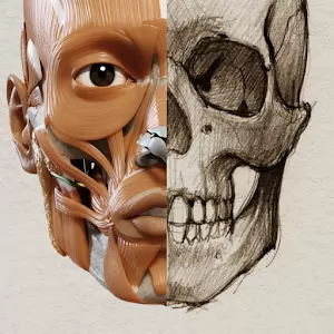 3D Анатомия для художников Lite - Детальное изучение анатомии человека