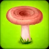 Download Forest Clans - Mushroom Farm