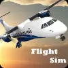 Herunterladen Flight Sim
