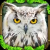 Скачать Owl Simulator