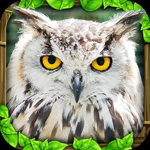Owl Simulator - Симулятор жизни совы в дикой природе