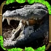 Herunterladen Wildlife Simulator: Crocodile