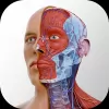 Download Complete Anatomy 2022