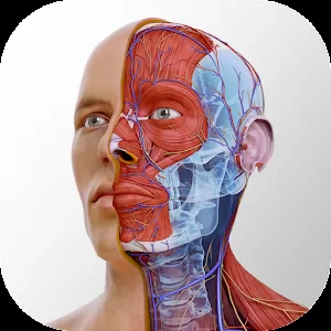 Complete Anatomy 2022 - Отличный симулятор для изучения анатомии тела