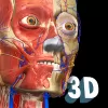 تحميل Anatomy Learning 3D Anatomy Atlas [Free Shopping]