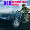 Herunterladen Universal Car Driving [Mod Money]