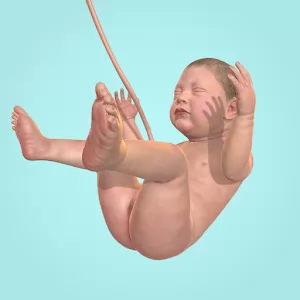 9 Months [Lots of diamonds] - Realistic fetal development simulator